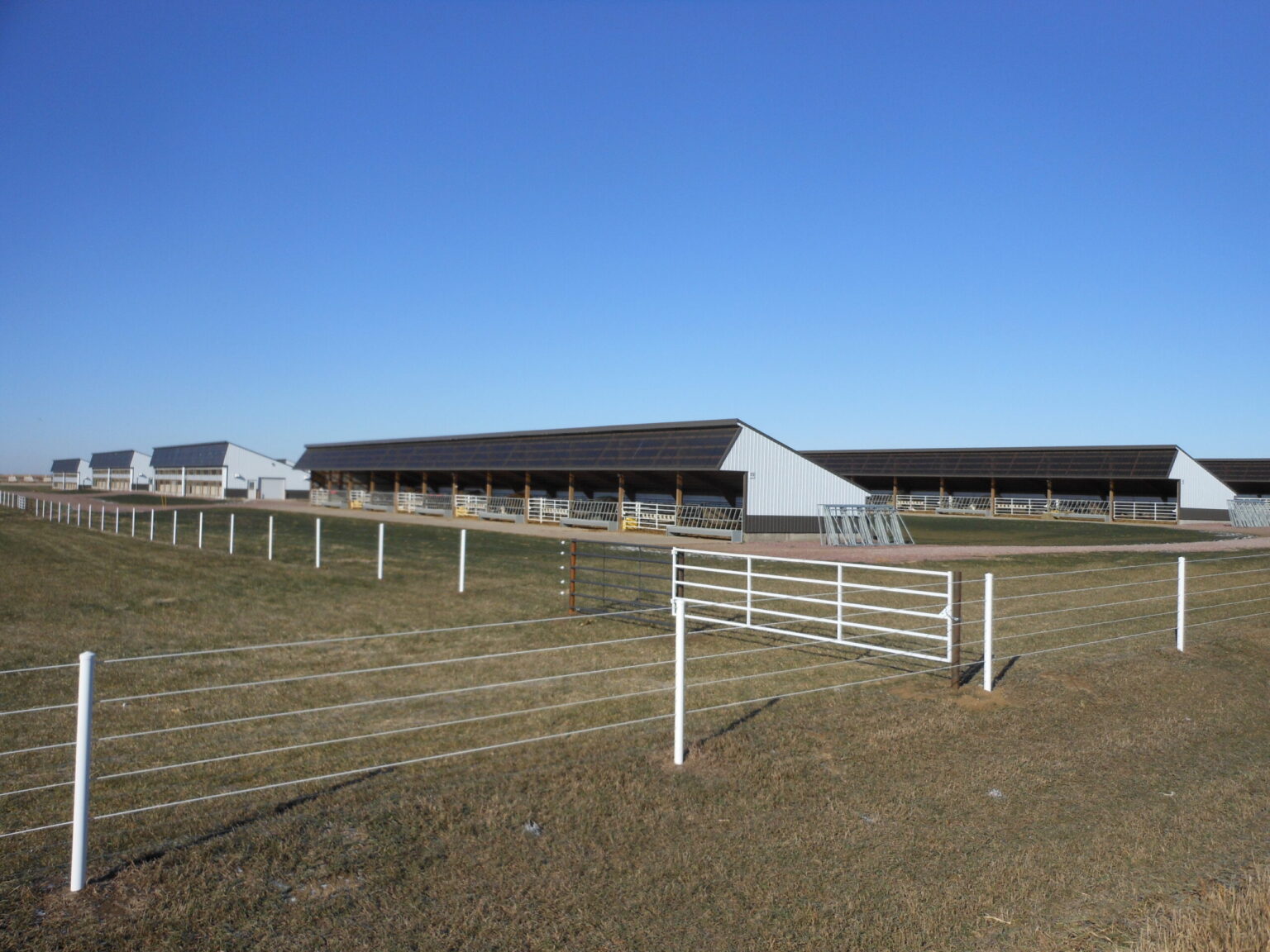 New Livestock – Reaves Buildings